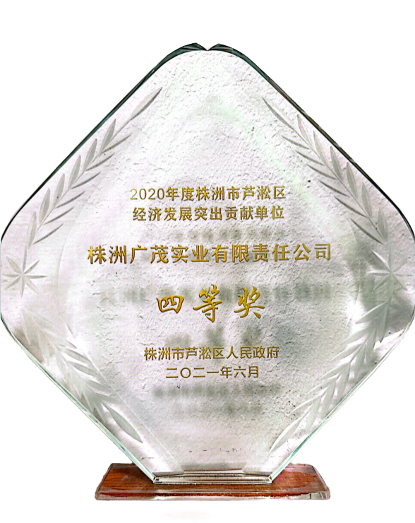 經(jīng)濟發(fā)展突出貢獻單位四等獎